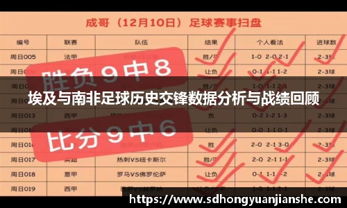 埃及与南非足球历史交锋数据分析与战绩回顾
