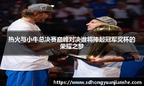 热火与小牛总决赛巅峰对决谁将捧起冠军奖杯的荣耀之梦
